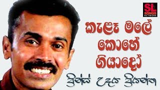 Kela Male Kohe Giyado Kela Male Kohe Giyado කැළෑ මලේ කොහේ ගියාදෝ  ප්‍රින්ස් උදය ප්‍රියන්ත [upl. by Nottus510]