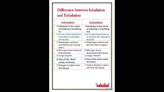 Difference between inhalation and exhalation [upl. by Hubble480]