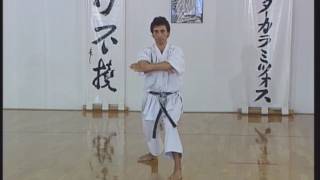 Shotokan  Heian Yondan [upl. by Yendor]