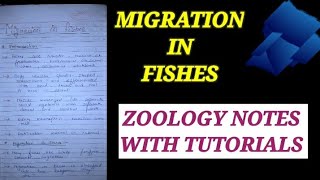 MIGRATION IN FISHES migrationinfishes zoologynotes bsc1styearzoology bsczoology fishes zoo [upl. by Venditti900]