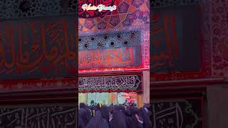 فقط اونایی که رفتن میدونن بعد از چند روز پیاده روی، دیدن این صحنه چه لذتی داره imamhussain کربلا [upl. by Irbmac]