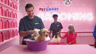 PetSmart Services All Under One Roof [upl. by Ialohcin676]