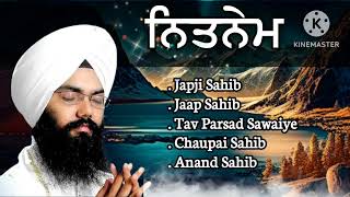 Nitnem Sahib full path  Bhai Manpreet Singh Kanpuri kirtan singh gurbanikirtan gurbani music [upl. by Martie760]