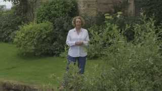 Philippa Gregory introduces The Kings Curse [upl. by Estas]