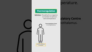 Thermoregulation homeostasis biologyrevision [upl. by Ettenim]