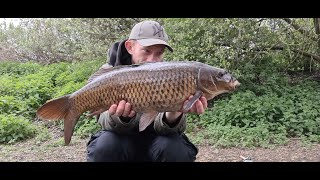 Willow Lake Darenth Fishing Complex  Short Session Fishing [upl. by Haman685]