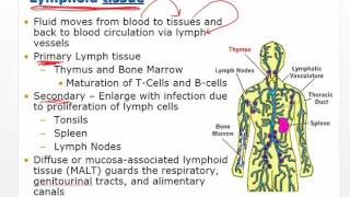 Chapter 11 Video Disorders of Leukocytes [upl. by Ethelind]