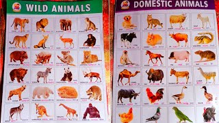 Domestic animals amp Wild animals  Learn animals name [upl. by Kristin]