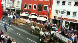 BrauereiwagenGeschicklichkeitsfahren  Live niedrige Auflösung [upl. by Suckram]