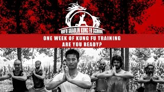 One Week of Training  Are you ready  Learn Traditional Martial Arts in China [upl. by Saltsman120]