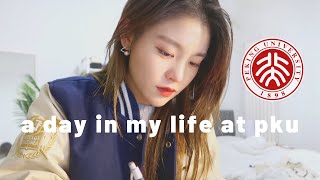 Day in the Life of a University Student  Exam Week  Peking University  Beijing Vlog [upl. by Nnaytsirk]