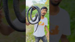 I was going home with a gift from a friend on my birthday I met a black snake on the way shorts [upl. by Donelu]