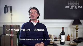 Château PrieuréLichine  Margaux  Millésime 2021 quotEn Primeursquot [upl. by Lontson294]