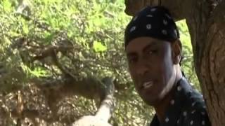 Dagim Mekonnen Kilolee  Gelloo  Oromo Music [upl. by Janenna]