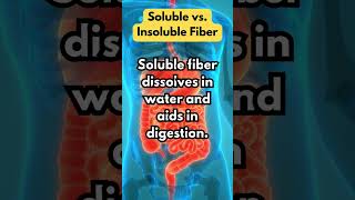 Soluble vs Insoluble Fiber [upl. by Ytirahs]