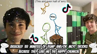 Basically 55 Minutes of DSMP andor MCYT related TikToks because they give me the happy chemical [upl. by Tesil]