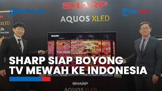 Sharp Siap Boyong TV Mewah Aquos XLED ke Indonesia [upl. by Medorra]