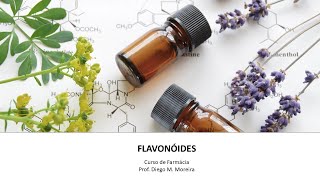 COMPOSTOS FENÓLICOS Flavonóides [upl. by Merp]