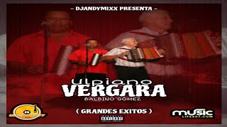 🥵 GRANDES EXITOS🔥 ULPIANO VERGARA MIX  DJANDYMIXX ❌️ ULTRAMIXPTYmixdetipico 2024 [upl. by Akciret]