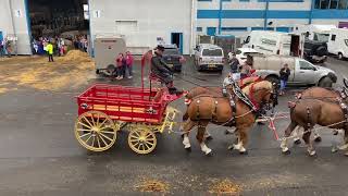 Team of 4 Heavy horse turnouts Royal Highland Show 2024 [upl. by Atiuqrehs159]