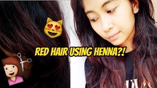 How I Dye My Black Hair RED Using Henna  Wine Red  Mahogany Red [upl. by Tenaej93]