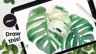 How To Draw Watercolor Monstera Albo Leaf Updated • Procreate Tutorial • Easy iPad Art [upl. by Ameekahs175]