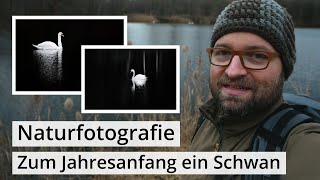 Naturfotografie Zum Jahresanfang ein SCHWAN  Kein Wetter Kein Problem [upl. by Yerffoj986]