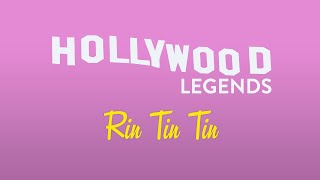 Hollywood Legends The Story of Rin Tin Tin Full Episode [upl. by Kiyohara]