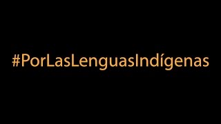 Las Nacionalidades y Lenguas del Ecuador [upl. by Dorlisa87]