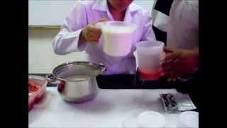 Elaboracion de Yogurt Artesanal [upl. by Eenerb9]