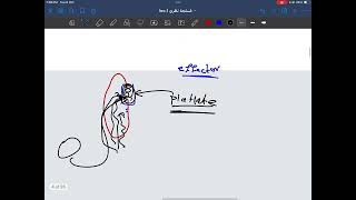 Lec1 physiology homeostasis [upl. by Lise]