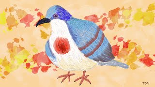 Bleeding Heart Dove  Rare Beautiful Philippine Bird  Oil Painting on Procreate [upl. by Gad990]