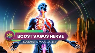 Boost Vagus Nerve Activity Regulate Nervous System  Release Tension amp Constant Fatigue [upl. by Aerdnac]