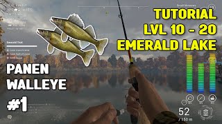 TUTORIAL LVL 10  20 DI EMERALD LAKE  FISHING PLANET Bahasa [upl. by Florance]