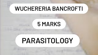 WUCHERERIA BANCROFTI  LC  PATHOGENESIS  LAB DIAGNOSIS  5 marks [upl. by Anieral]