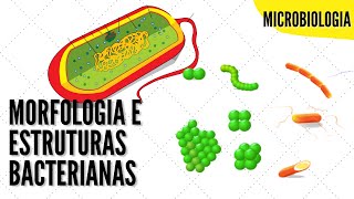 Estruturas e Formas das Células Bacterianas  ANIMAÇÃO [upl. by Remy]