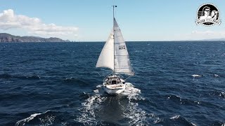 Episode 8 SOLO SAILING New Zealand Whitianga  Port Jackson  Waiheke Island  Coromandel [upl. by Anaujd]