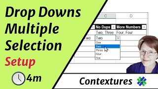 Data Validation Multiple Selection Setup [upl. by Lezah690]