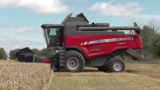 Harvest 2016 Massey Ferguson 7347S Activa Combine Harvester [upl. by Anaujik]