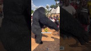 Increíble Ritual Africano da vida a enorme Criatura magia africa monstruo brujeria ritual [upl. by Colinson]