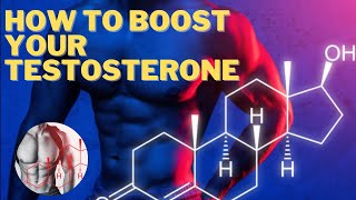 How To Boost Your Testosterone [upl. by Namwob]