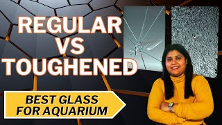 which glass is best for aquarium Normal or Toughened [upl. by Sweeney418]