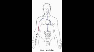 Heart Meridian [upl. by Elbas]