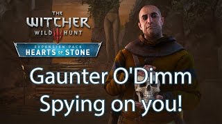 Witcher 3 Gaunter ODimm detail you probably missed while playing Hearts of Stone [upl. by Tami118]