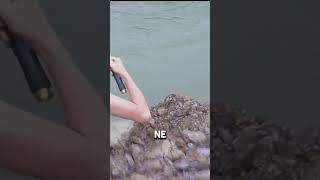 elle attrape du poisson viralvideo shortvideo [upl. by Tobi]