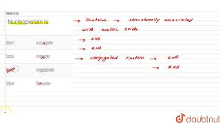 Nucleoprotein is  CLASS 11  BIOMOLECULES  BIOLOGY  Doubtnut [upl. by Inajar]