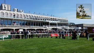 Leopardstown Horse Racing May 2016 [upl. by Nevin]