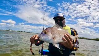 Brisbane River Snapper bag out from a Jet Ski Jet ski fishing [upl. by Mmada]