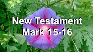 New Testament Mark 15  16 [upl. by Pilar]