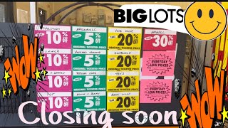 Inside Big Lots The Summer Closing Down Sale You Cant Sleep On [upl. by Odrarebe]